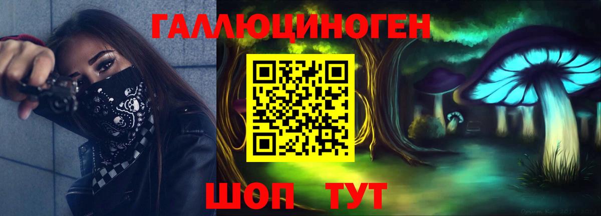 Галлюциногенные грибы Psilocybe  Вход с VPN  Знаменск  цена наркотик  Псилоцибиновые грибы мухоморы 
