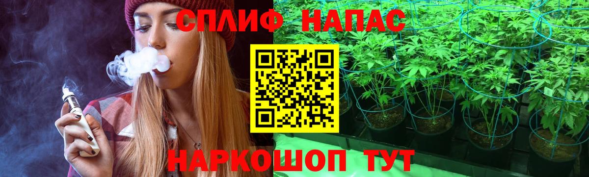 Каннабис White Widow  Конопля семена  МАРИХУАНА ГИДРОПОН  Знаменск  Вход с VPN  Конопля сатива 