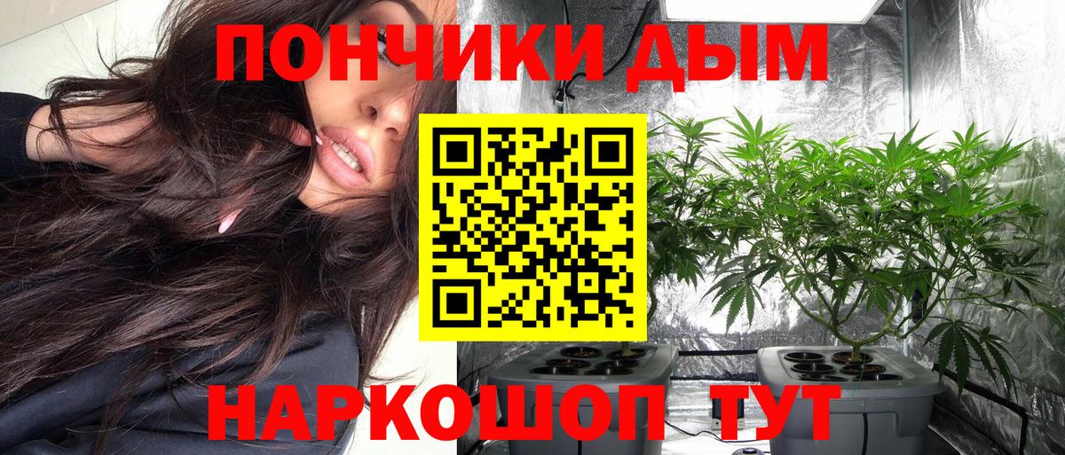Бошки марихуана MAZAR Знаменск